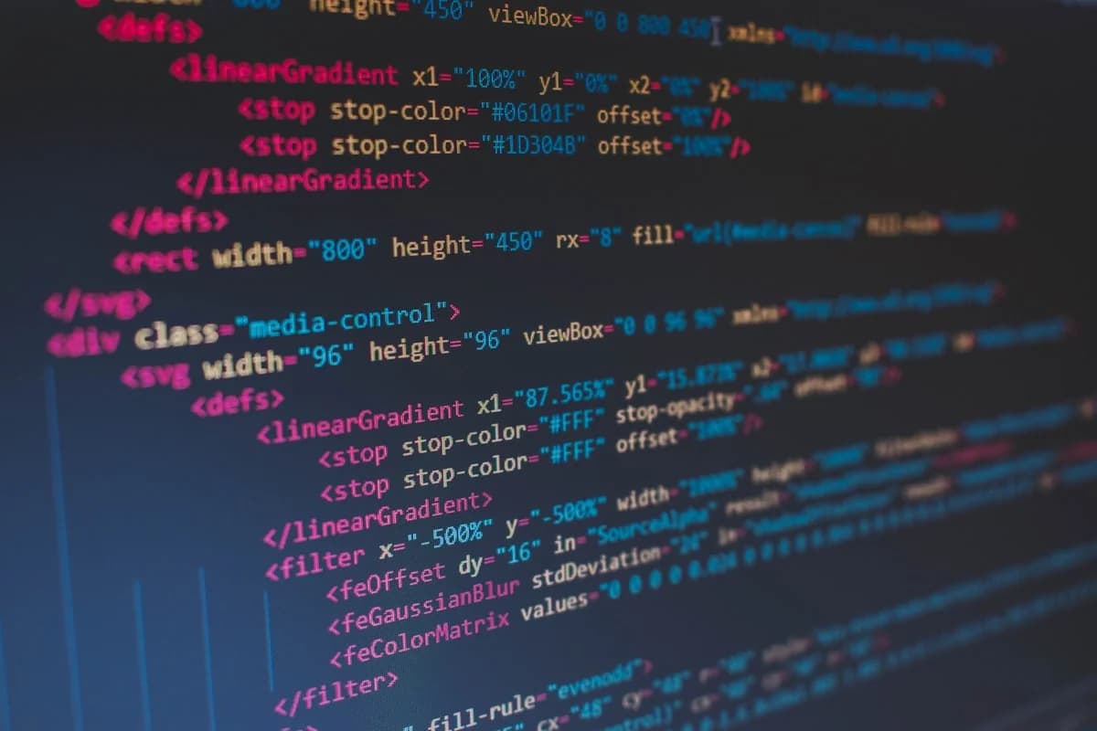 Backend engineer programming robust REST and GraphQL endpoints in development environment